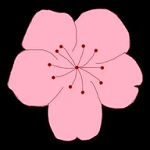 17c.cnAPPAPP应用